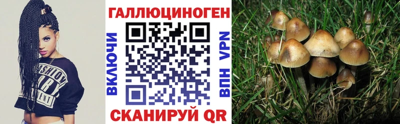 Галлюциногенные грибы Cubensis  где найти наркотики  Новопавловск 